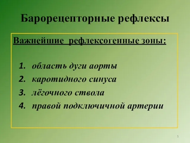 Барорецепторные рефлексы Важнейшие рефлексогенные зоны: область дуги аорты каротидного синуса лёгочного ствола правой подключичной артерии