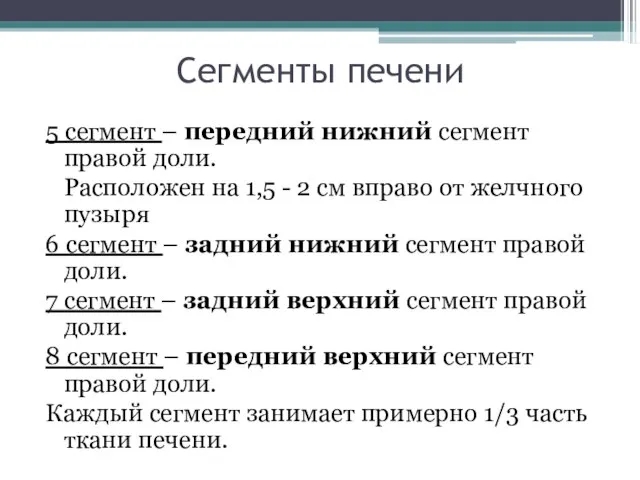 Сегменты печени 5 сегмент – передний нижний сегмент правой доли. Расположен