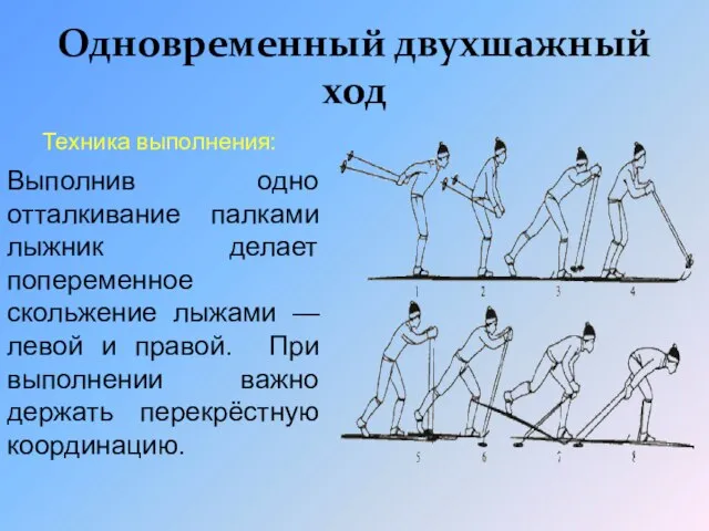 Одновременный двухшажный ход Техника выполнения: Выполнив одно отталкивание палками лыжник делает