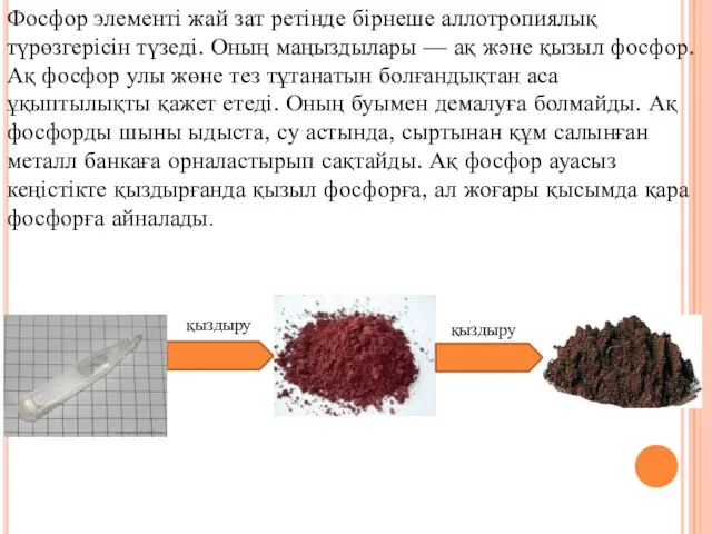 Фосфор элементі жай зат ретінде бірнеше аллотропиялық түрөзгерісін түзеді. Оның маңыздылары