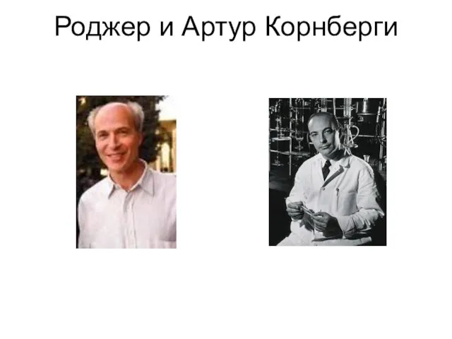 Роджер и Артур Корнберги