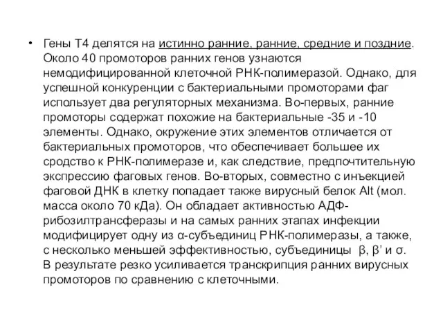 Гены Т4 делятся на истинно ранние, ранние, средние и поздние. Около