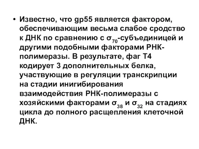 Известно, что gp55 является фактором, обеспечивающим весьма слабое сродство к ДНК