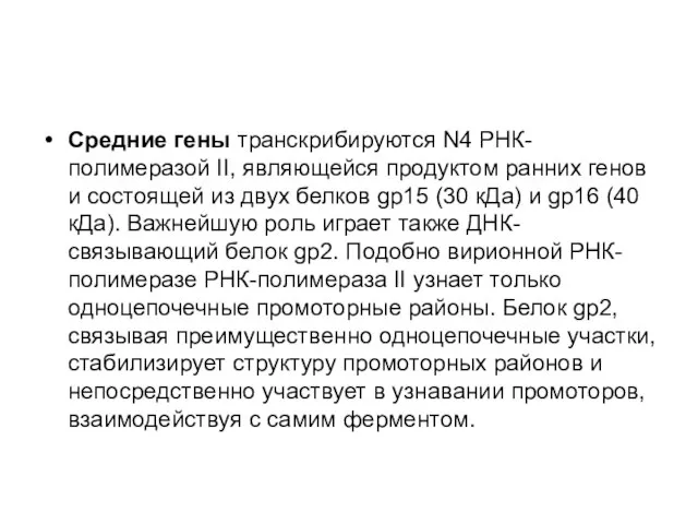 Средние гены транскрибируются N4 РНК-полимеразой II, являющейся продуктом ранних генов и