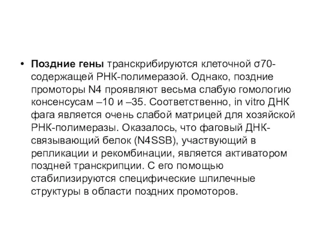 Поздние гены транскрибируются клеточной σ70-содержащей РНК-полимеразой. Однако, поздние промоторы N4 проявляют