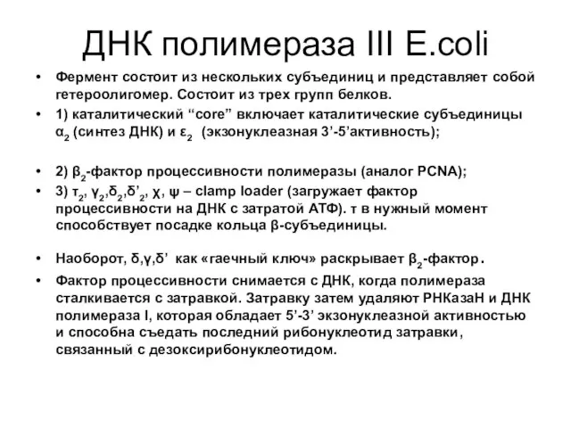 ДНК полимераза III E.coli Фермент состоит из нескольких субъединиц и представляет