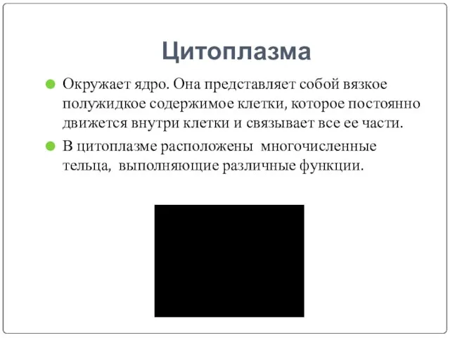 Цитоплазма Окружает ядро. Она представляет собой вязкое полужидкое содержимое клетки, которое