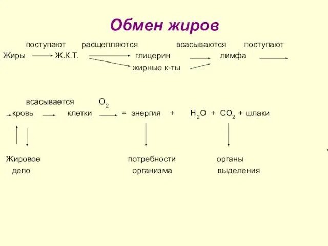 Обмен жиров поступают расщепляются всасываются поступают Жиры Ж.К.Т. глицерин лимфа жирные