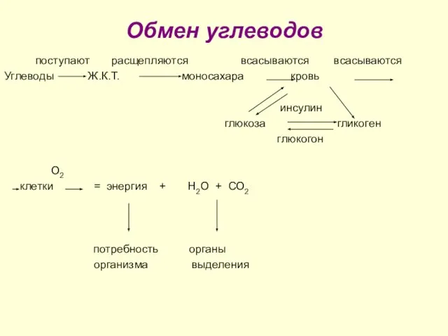 Обмен углеводов поступают расщепляются всасываются всасываются Углеводы Ж.К.Т. моносахара кровь инсулин