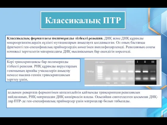 Классикалық ПТР Классикалық форматтағы полимеразды тізбекті реакция. ДНҚ және ДНҚ құрамды