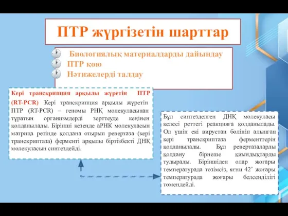 ПТР жүргізетін шарттар Биологиялық материалдарды дайындау ПТР қою Нәтижелерді талдау Кері