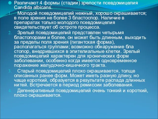 Различают 4 формы (стадии) зрелости псевдомицелия Candida albicans. Молодой псевдомицелий нежный,