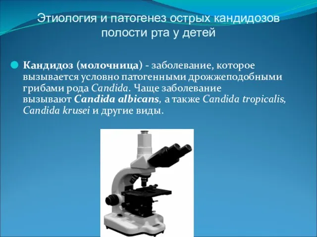 Этиология и патогенез острых кандидозов полости рта у детей Кандидоз (молочница)