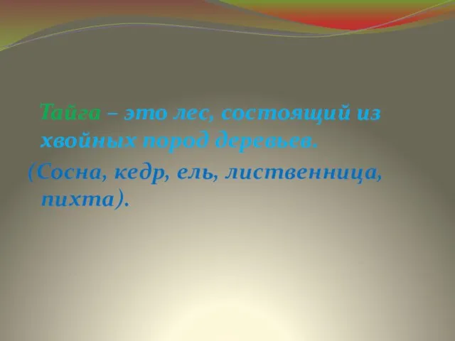 Тайга – это лес, состоящий из хвойных пород деревьев. (Сосна, кедр, ель, лиственница, пихта).