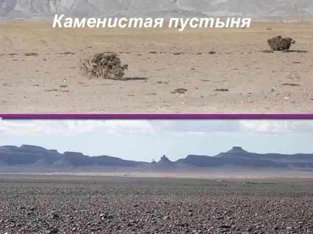 Каменистая пустыня