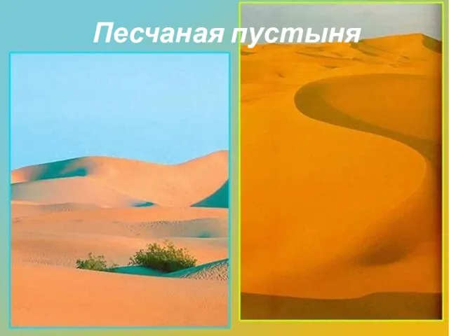 Песчаная пустыня