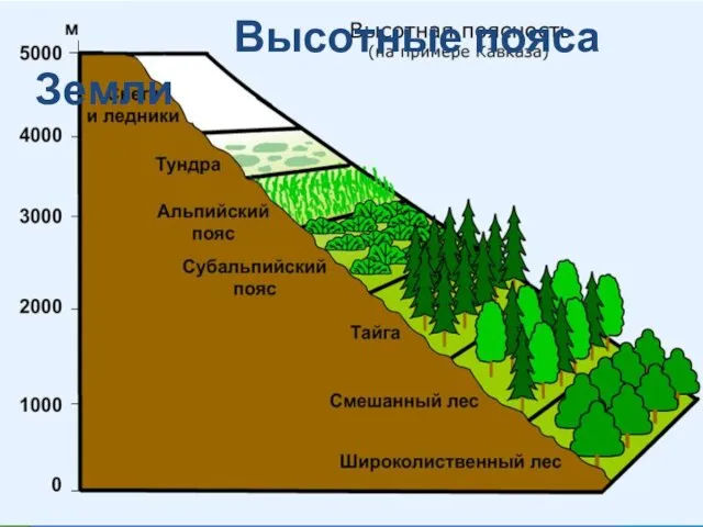 Высотные пояса Земли