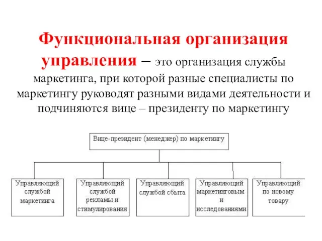 Функциональная организация управления – это организация службы маркетинга, при которой разные