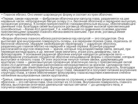 Глазное яблоко. Оно имеет шаровидную форму и состоит из трех оболочек: