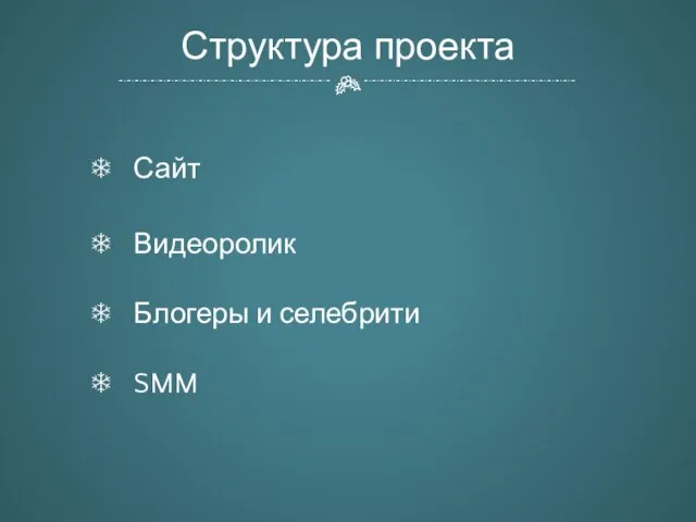 Структура проекта Сайт Видеоролик Блогеры и селебрити SMM