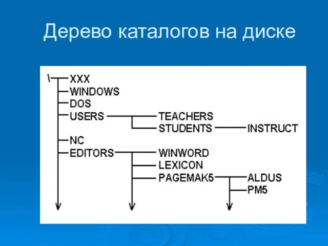 Дерево каталогов на диске