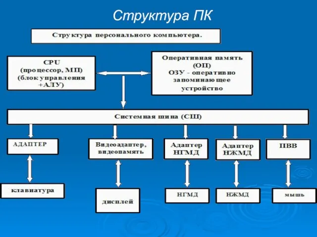 Структура ПК