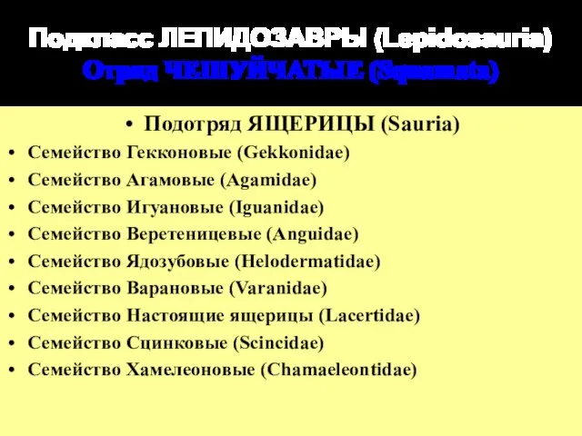 Подкласс ЛЕПИДОЗАВРЫ (Lepidosauria) Отряд ЧЕШУЙЧАТЫЕ (Squamata) Подотряд ЯЩЕРИЦЫ (Sauria) Семейство Гекконовые