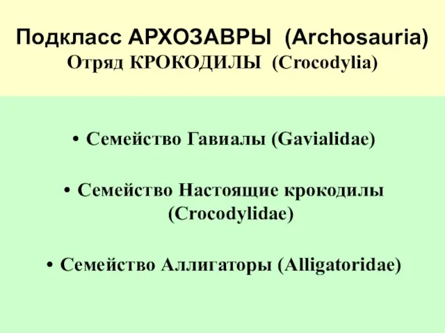 Подкласс АРХОЗАВРЫ (Archosauria) Отряд КРОКОДИЛЫ (Crocodylia) Семейство Гавиалы (Gavialidae) Семейство Настоящие крокодилы (Crocodylidae) Семейство Аллигаторы (Alligatoridae)