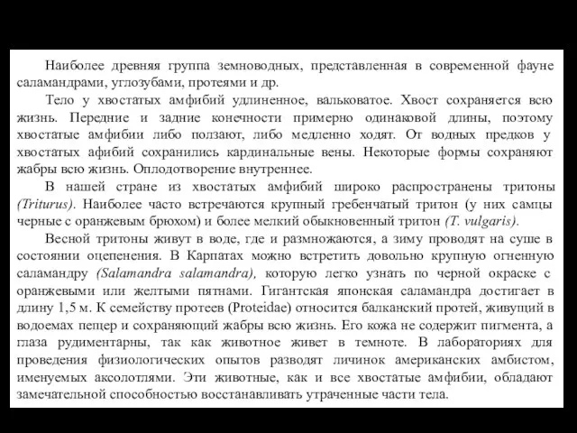 Наиболее древняя группа земноводных, представленная в современной фауне саламандрами, углозубами, протеями