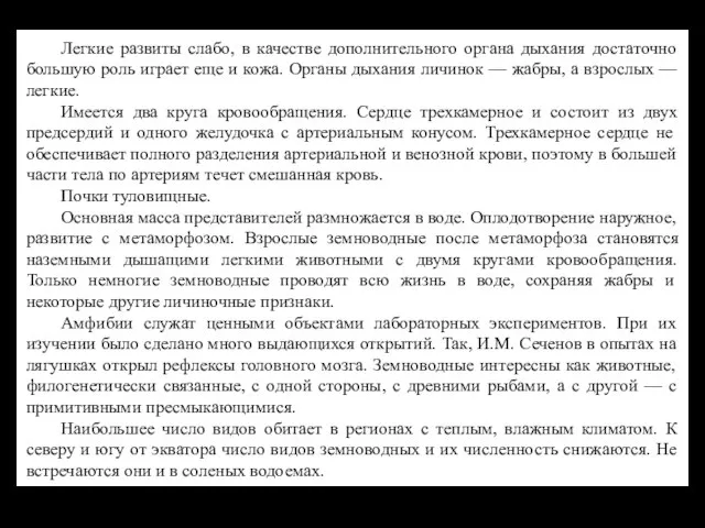 Легкие развиты слабо, в качестве дополнительного органа дыхания достаточно большую роль