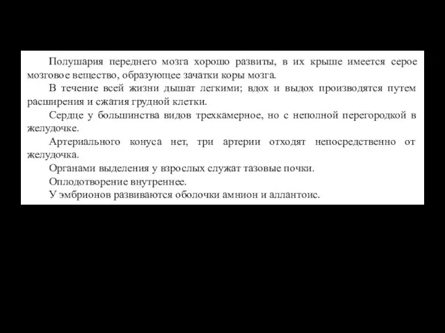 Полушария переднего мозга хорошо развиты, в их крыше имеется серое мозговое