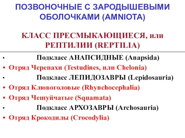 ПОЗВОНОЧНЫЕ С ЗАРОДЫШЕВЫМИ ОБОЛОЧКАМИ (AMNIOTA) КЛАСС ПРЕСМЫКАЮЩИЕСЯ, или РЕПТИЛИИ (REPTILIA) Подкласс