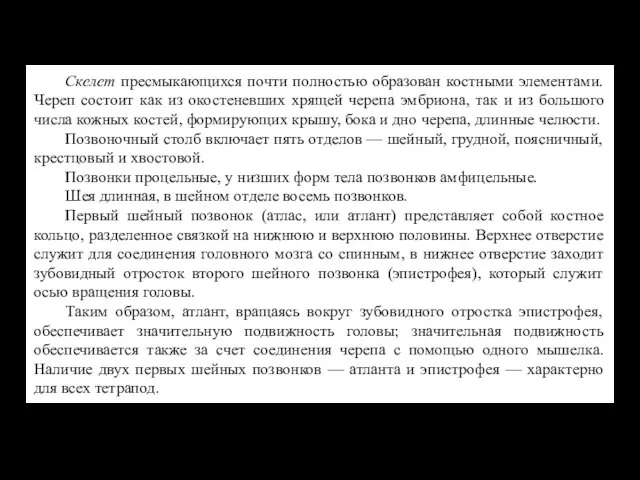 Скелет пресмыкающихся почти полностью образован костными элементами. Череп состоит как из