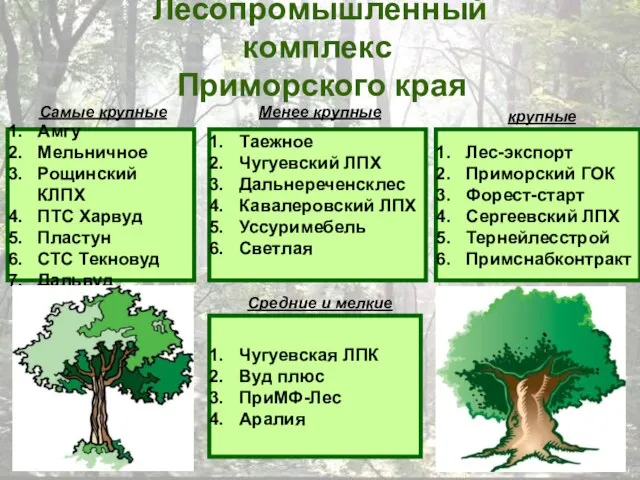 Лесопромышленный комплекс Приморского края Амгу Мельничное Рощинский КЛПХ ПТС Харвуд Пластун