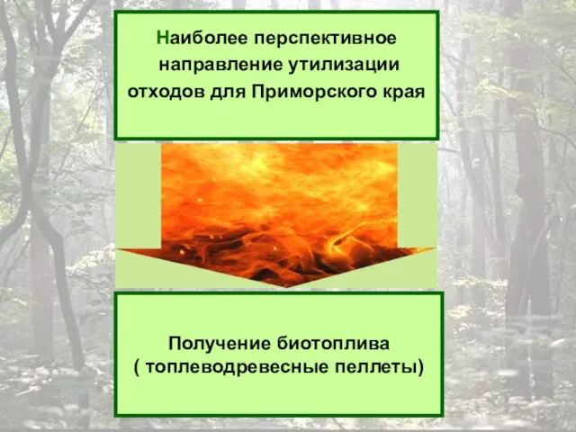 Наиболее перспективное направление утилизации отходов для Приморского края Получение биотоплива ( топлеводревесные пеллеты)