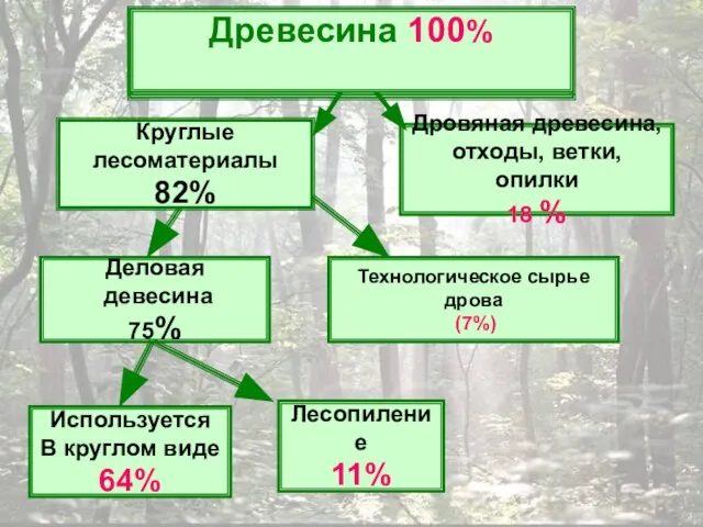 Древесина 100 Круглые лесоматериалы 82% Дровяная древесина, отходы, ветки, опилки 18