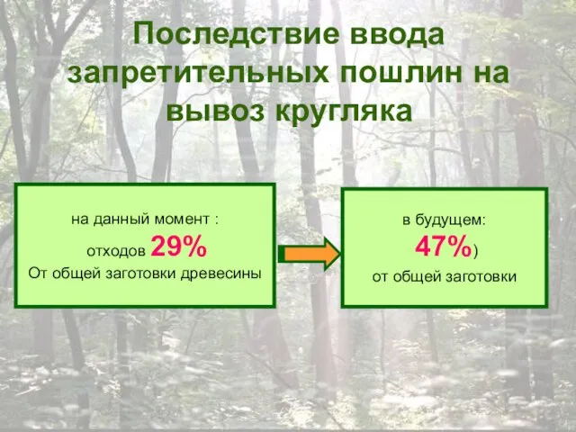 Последствие ввода запретительных пошлин на вывоз кругляка на данный момент :