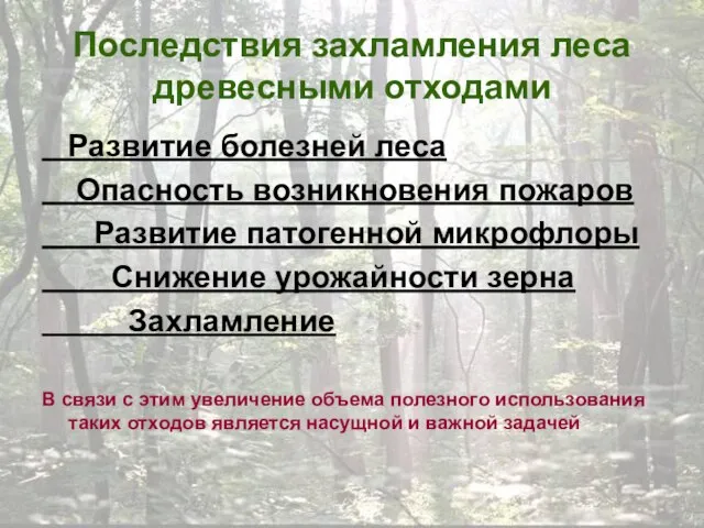 Последствия захламления леса древесными отходами Развитие болезней леса Опасность возникновения пожаров