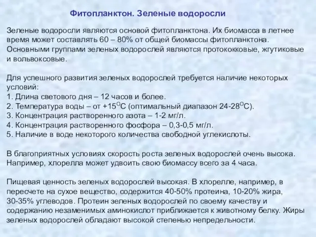 Зеленые водоросли являются основой фитопланктона. Их биомасса в летнее время может