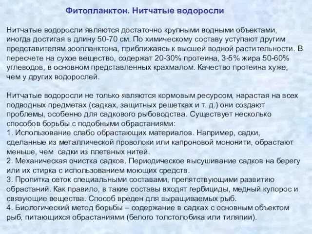 Фитопланктон. Нитчатые водоросли Нитчатые водоросли являются достаточно крупными водными объектами, иногда