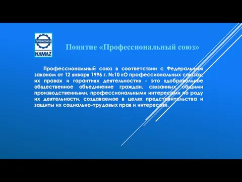 Профессиональный союз в соответствии с Федеральным законом от 12 января 1996