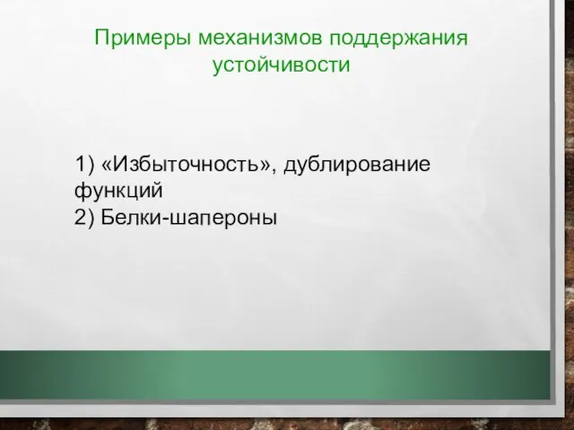 Примеры механизмов поддержания устойчивости 1) «Избыточность», дублирование функций 2) Белки-шапероны