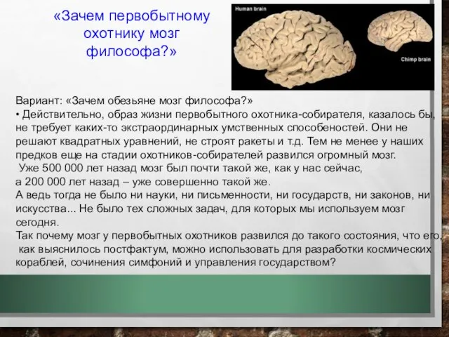 «Зачем первобытному охотнику мозг философа?» Вариант: «Зачем обезьяне мозг философа?» •