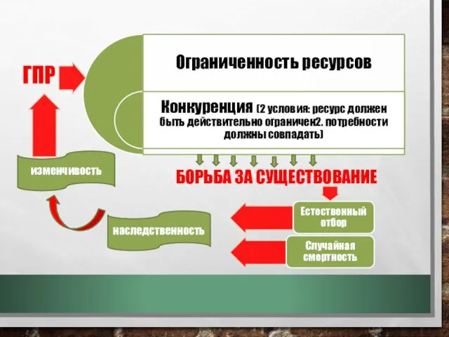 ГПР БОРЬБА ЗА СУЩЕСТВОВАНИЕ наследственность изменчивость