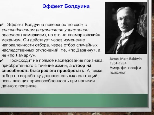 Эффект Болдуина поверхностно схож с «наследованием результатов упражнения органов» (ламаркизм), но