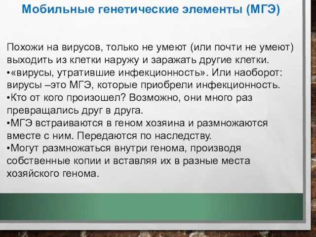 Мобильные генетические элементы (МГЭ) Похожи на вирусов, только не умеют (или