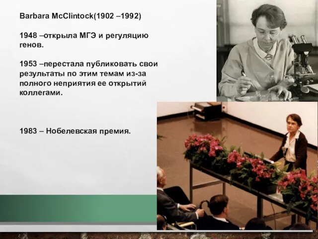 Barbara McClintock(1902 –1992) 1948 –открыла МГЭ и регуляцию генов. 1953 –перестала