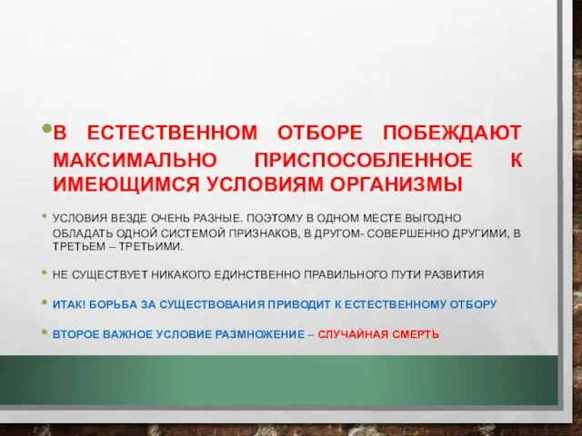 В ЕСТЕСТВЕННОМ ОТБОРЕ ПОБЕЖДАЮТ МАКСИМАЛЬНО ПРИСПОСОБЛЕННОЕ К ИМЕЮЩИМСЯ УСЛОВИЯМ ОРГАНИЗМЫ УСЛОВИЯ