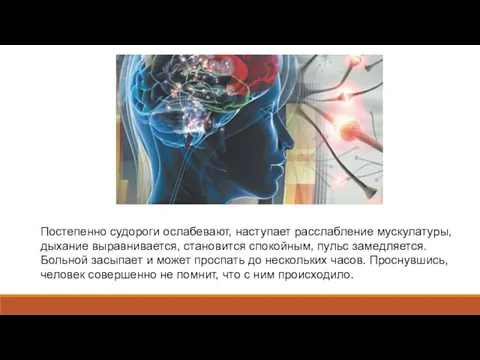 Постепенно судороги ослабевают, наступает расслабление мускулатуры, дыхание выравнивается, становится спокойным, пульс