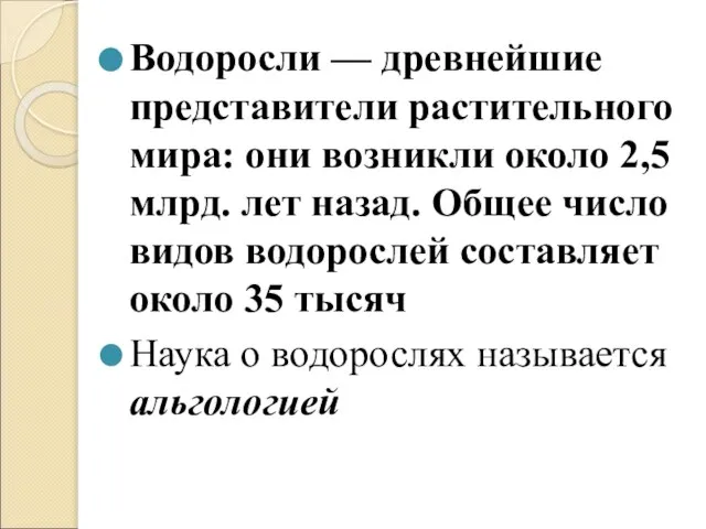 Водоросли — древнейшие представители растительного мира: они возникли около 2,5 млрд.